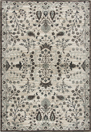 Rizzy Zenith ZH7091 Ivory Area Rug main image