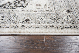 Rizzy Zenith ZH7102 Ivory Area Rug 