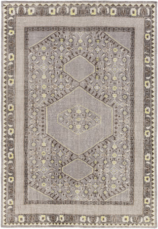 Surya Zahra ZHA-4009 Area Rug