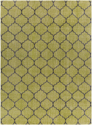 Surya Zahra ZHA-4012 Olive Area Rug 8' x 11'