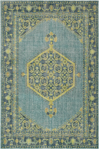 Surya Zahra ZHA-4027 Teal Area Rug 5'6'' x 8'6''