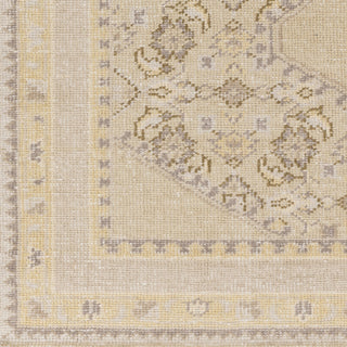 Surya Zahra ZHA-4032 Khaki Hand Knotted Area Rug Sample Swatch