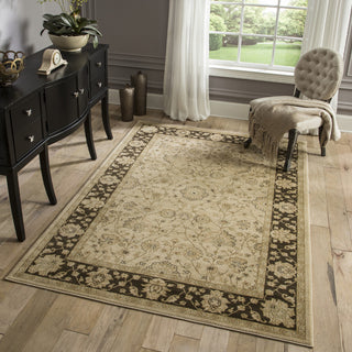 Momeni Ziegler ZE-01 Brown Area Rug Main Image Feature