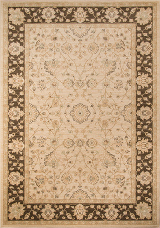 Momeni Ziegler ZE-01 Brown Area Rug main image