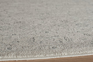 Momeni Ziegler ZE-02 Ivory Area Rug Closeup