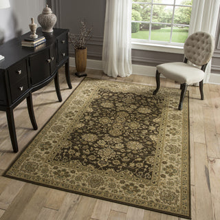 Momeni Ziegler ZE-06 Brown Area Rug Main Image Feature