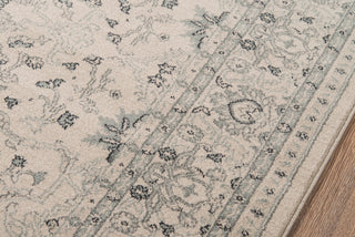 Momeni Ziegler ZE-07 Ivory Area Rug Closeup