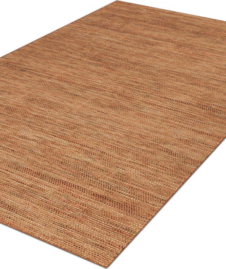 Dalyn Zion ZN1 Spice Area Rug Floor Image