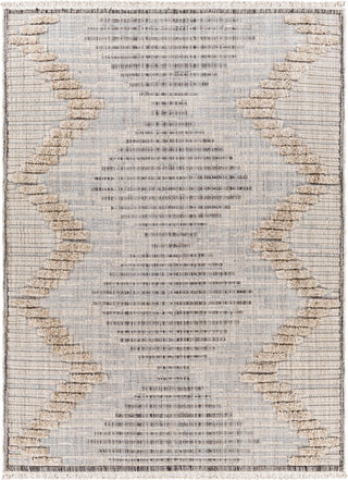 Surya Zaragoza ZRZ-2300 Area Rug main image