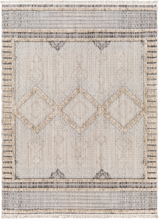 Surya Zaragoza ZRZ-2301 Area Rug main image