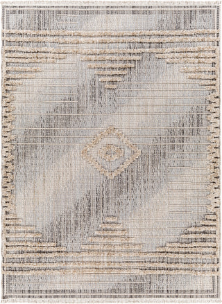 Surya Zaragoza ZRZ-2305 Area Rug main image