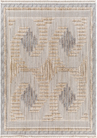 Surya Zaragoza ZRZ-2306 Area Rug main image