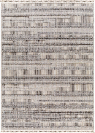 Surya Zaragoza ZRZ-2307 Area Rug main image