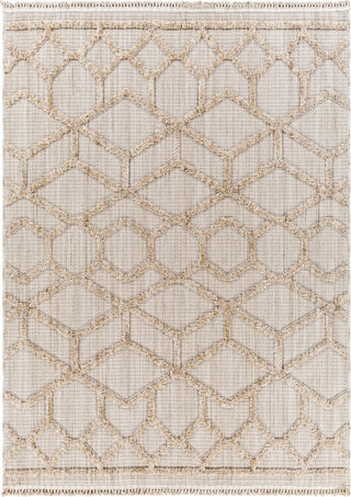 Surya Zaragoza ZRZ-2309 Area Rug main image