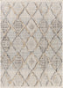 Surya Zaragoza ZRZ-2311 Area Rug main image