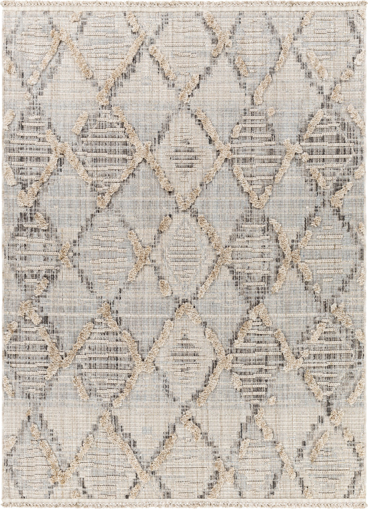 Surya Zaragoza ZRZ-2311 Area Rug main image