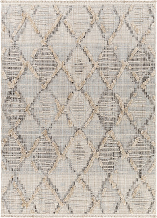 Surya Zaragoza ZRZ-2311 Area Rug main image