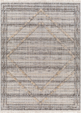 Surya Zaragoza ZRZ-2313 Area Rug main image