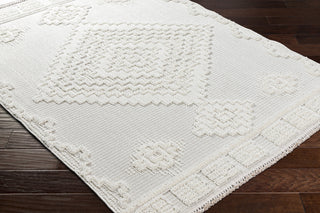 Surya Zaragoza ZRZ-2316 Area Rug Corner Shot