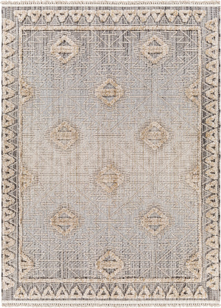 Surya Zaragoza ZRZ-2318 Area Rug main image