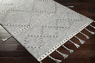 Surya Zanafi Tassels ZTS-2300 Area Rug