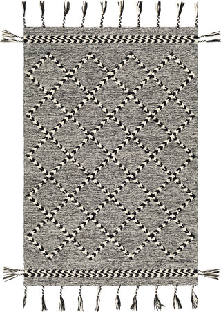 Surya Zanafi Tassels ZTS-2303 Area Rug