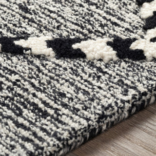 Surya Zanafi Tassels ZTS-2303 Area Rug