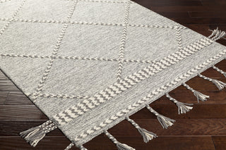 Surya Zanafi Tassels ZTS-2306 Area Rug