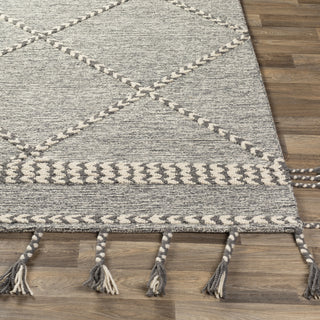 Surya Zanafi Tassels ZTS-2306 Area Rug