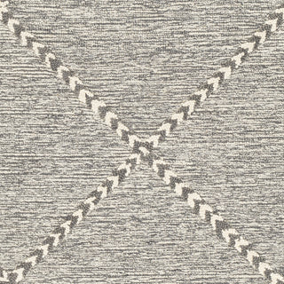 Surya Zanafi Tassels ZTS-2306 Area Rug