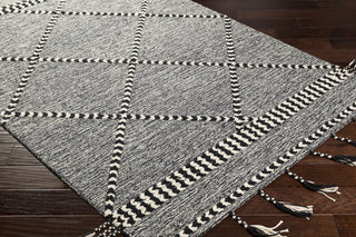 Surya Zanafi Tassels ZTS-2307 Area Rug