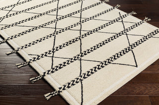 Surya Zanafi Tassels ZTS-2311 Area Rug