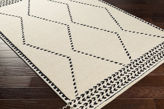Surya Zanafi Tassels ZTS-2312 Area Rug