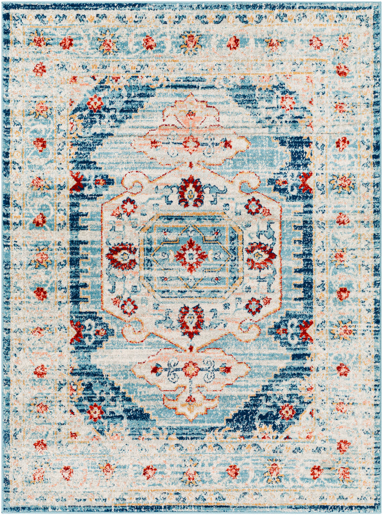 Surya Tevazu TVZ-2312 Area Rug Main Image